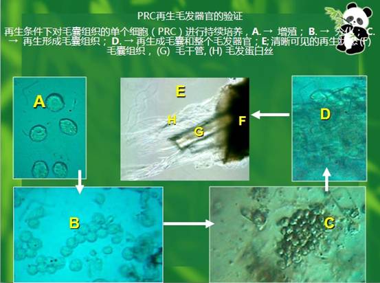 恒峰g22(国际)官网入口-每天有惊喜