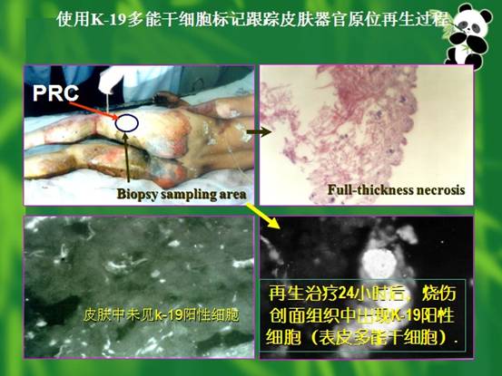 恒峰g22(国际)官网入口-每天有惊喜