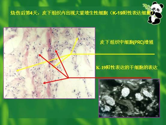 恒峰g22(国际)官网入口-每天有惊喜