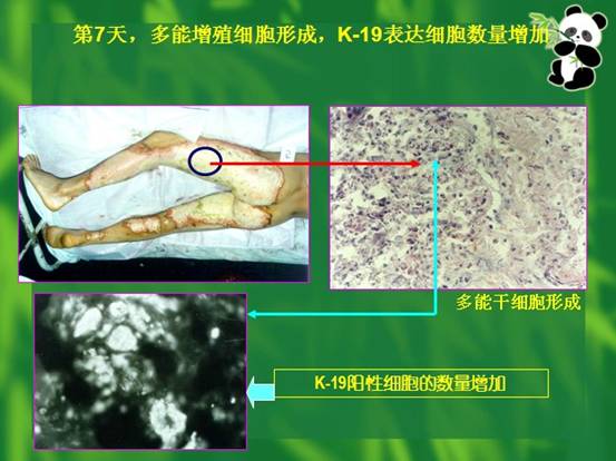 恒峰g22(国际)官网入口-每天有惊喜