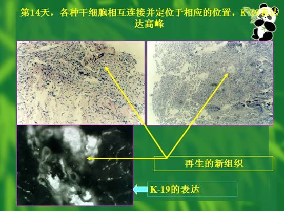 恒峰g22(国际)官网入口-每天有惊喜