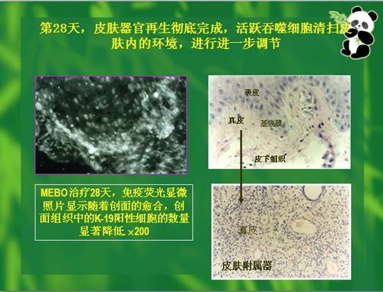 恒峰g22(国际)官网入口-每天有惊喜