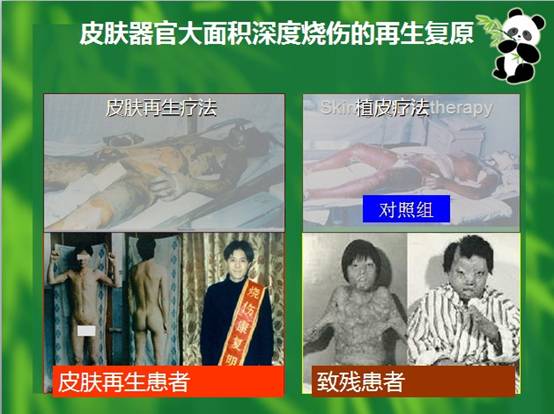 恒峰g22(国际)官网入口-每天有惊喜