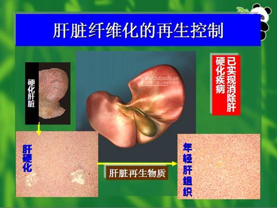 恒峰g22(国际)官网入口-每天有惊喜