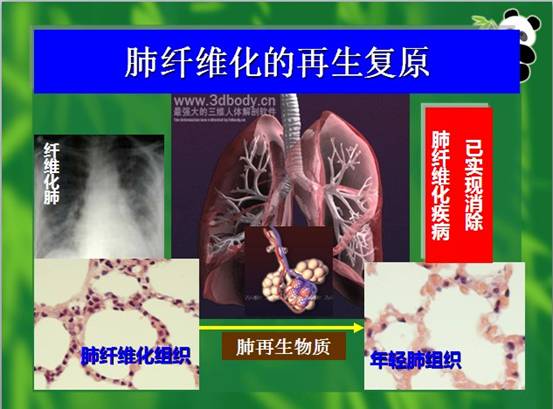 恒峰g22(国际)官网入口-每天有惊喜