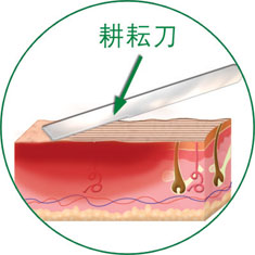 恒峰g22(国际)官网入口-每天有惊喜