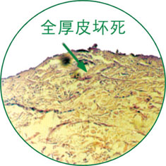 恒峰g22(国际)官网入口-每天有惊喜