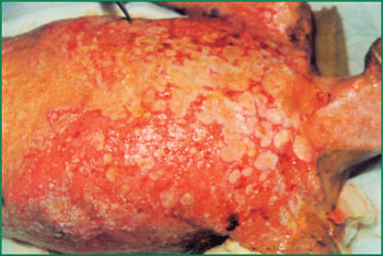 恒峰g22(国际)官网入口-每天有惊喜