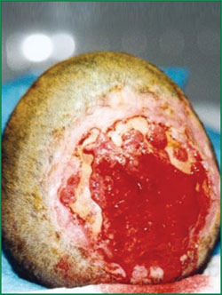 恒峰g22(国际)官网入口-每天有惊喜