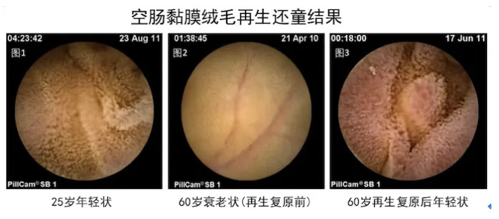 恒峰g22(国际)官网入口-每天有惊喜