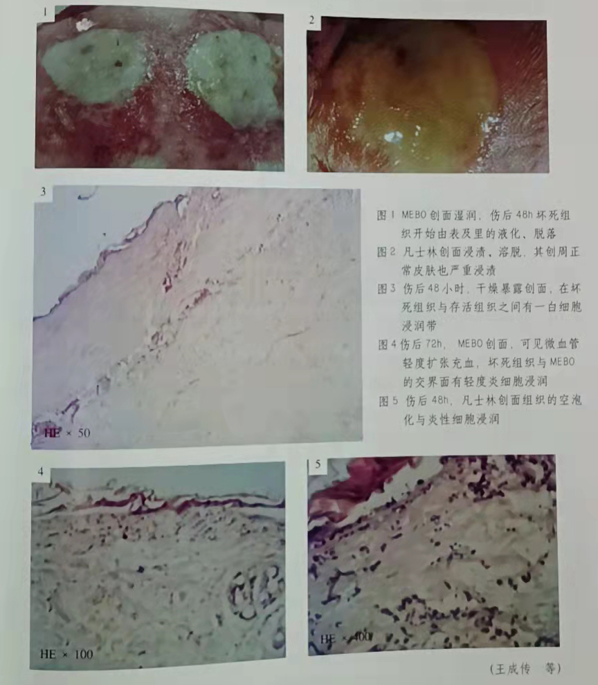 恒峰g22(国际)官网入口-每天有惊喜