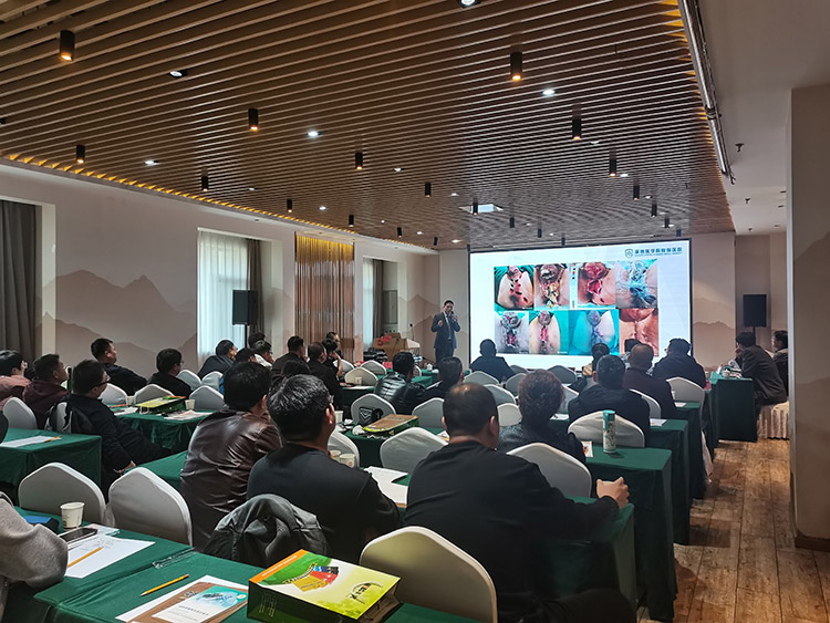 恒峰g22(国际)官网入口-每天有惊喜