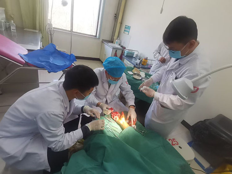 恒峰g22(国际)官网入口-每天有惊喜