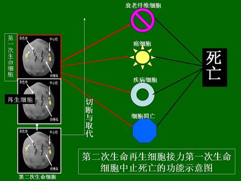 恒峰g22(国际)官网入口-每天有惊喜