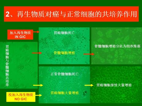 恒峰g22(国际)官网入口-每天有惊喜