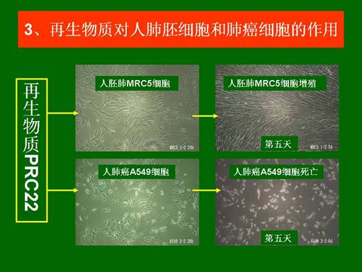 恒峰g22(国际)官网入口-每天有惊喜