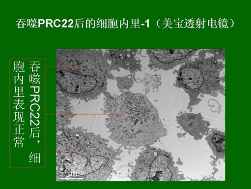 恒峰g22(国际)官网入口-每天有惊喜