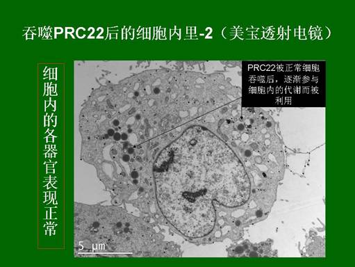 恒峰g22(国际)官网入口-每天有惊喜