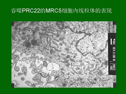 恒峰g22(国际)官网入口-每天有惊喜