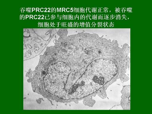 恒峰g22(国际)官网入口-每天有惊喜