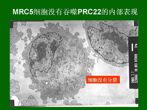 恒峰g22(国际)官网入口-每天有惊喜