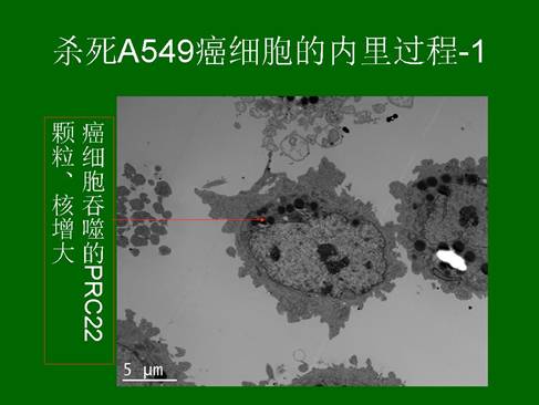 恒峰g22(国际)官网入口-每天有惊喜