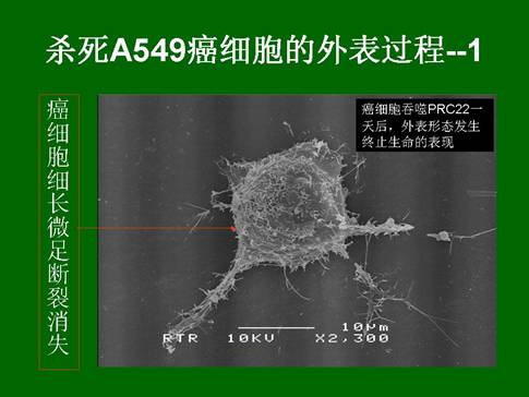 恒峰g22(国际)官网入口-每天有惊喜