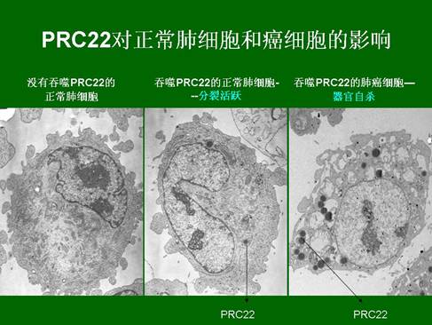 恒峰g22(国际)官网入口-每天有惊喜
