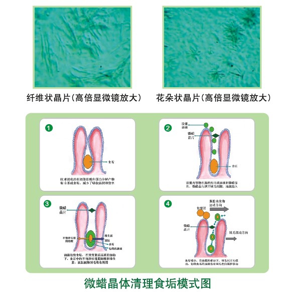 恒峰g22(国际)官网入口-每天有惊喜