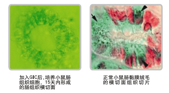 恒峰g22(国际)官网入口-每天有惊喜