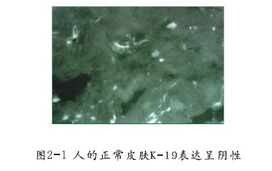 恒峰g22(国际)官网入口-每天有惊喜