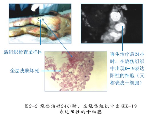 恒峰g22(国际)官网入口-每天有惊喜