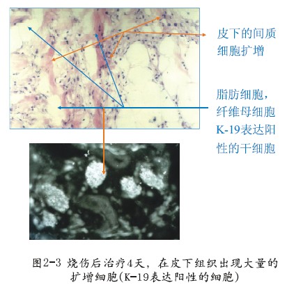恒峰g22(国际)官网入口-每天有惊喜