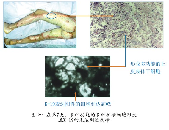 恒峰g22(国际)官网入口-每天有惊喜