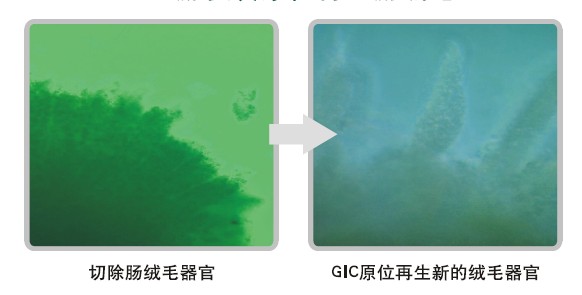 恒峰g22(国际)官网入口-每天有惊喜