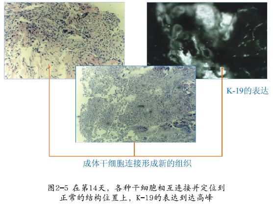 恒峰g22(国际)官网入口-每天有惊喜