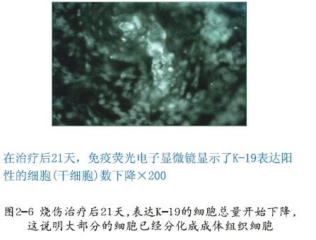 恒峰g22(国际)官网入口-每天有惊喜