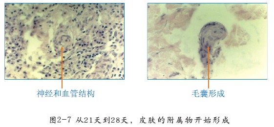 恒峰g22(国际)官网入口-每天有惊喜