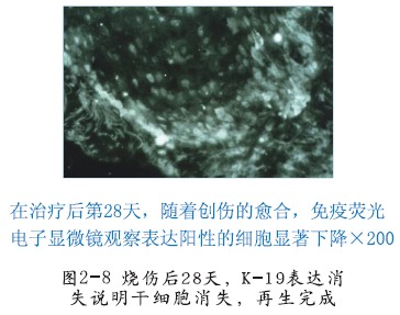 恒峰g22(国际)官网入口-每天有惊喜