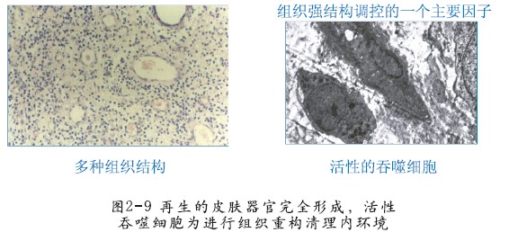 恒峰g22(国际)官网入口-每天有惊喜