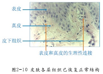 恒峰g22(国际)官网入口-每天有惊喜