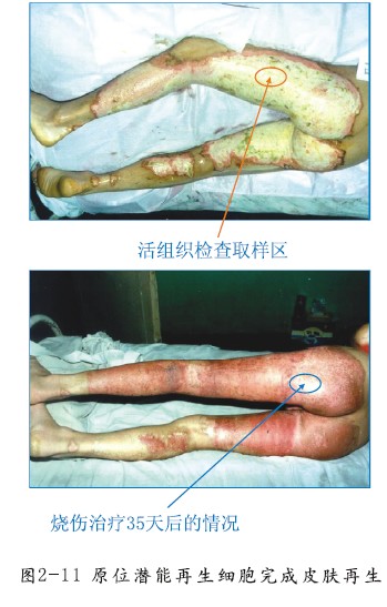 恒峰g22(国际)官网入口-每天有惊喜