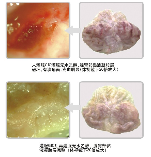 恒峰g22(国际)官网入口-每天有惊喜