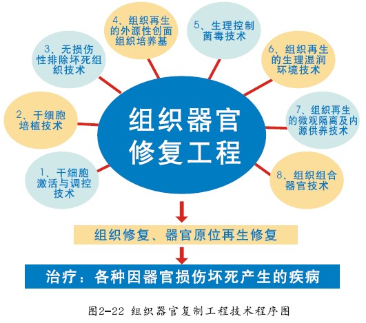 恒峰g22(国际)官网入口-每天有惊喜
