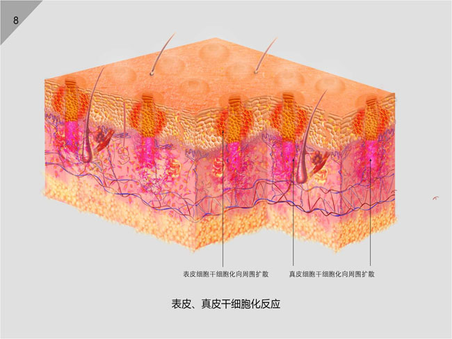 恒峰g22(国际)官网入口-每天有惊喜