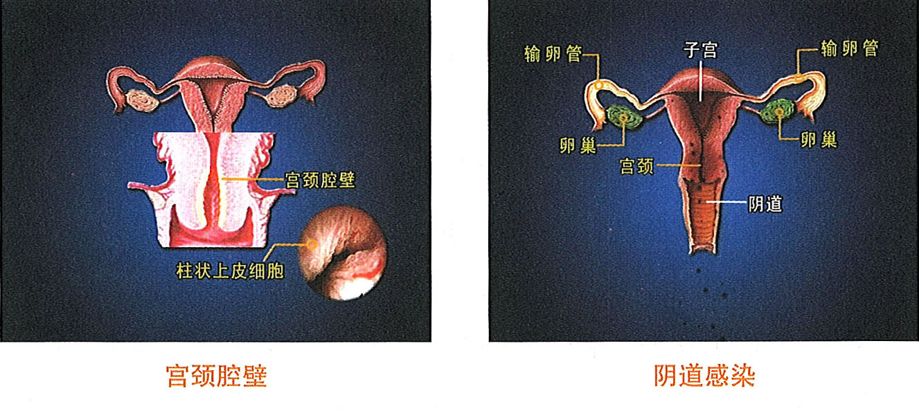 恒峰g22(国际)官网入口-每天有惊喜