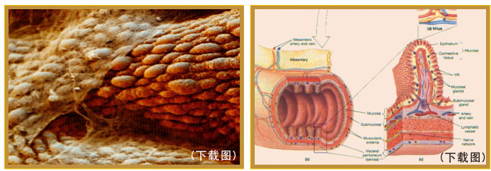 201122013266460