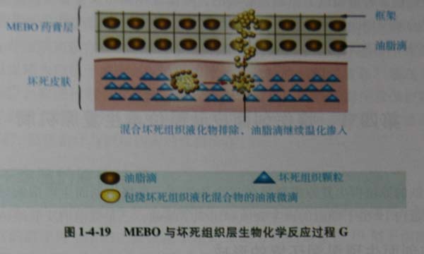 201131135029735