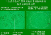 恒峰g22(国际)官网入口-每天有惊喜