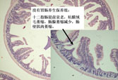 恒峰g22(国际)官网入口-每天有惊喜